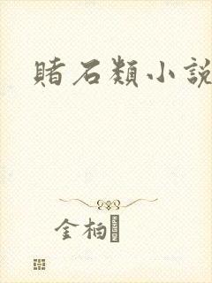 赌石类小说