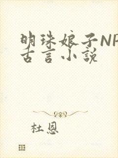 明珠娘子NPC古言小说