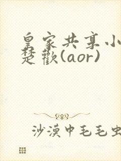 皇家共享小公主楚欢(aor)