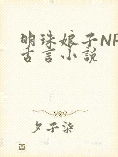 明珠娘子NPC古言小说