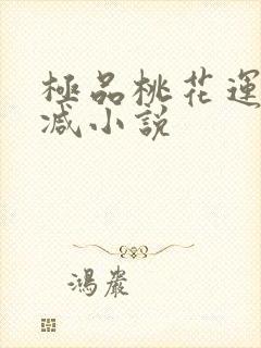 极品桃花运未删减小说