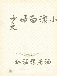 少妇白洁小说全文