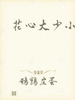 花心大少小说