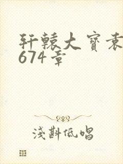 轩辕大宝袁雪妃674章