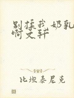 别揉我奶乳嗯～啊文轩