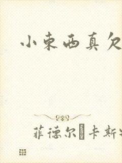 小东西真欠弄
