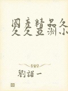 国产精品久久久久久亚洲小说