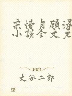 宋惜月顾浔渊的小说全文免费阅读