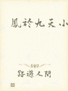 凤于九天小说