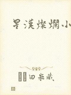 星汉灿烂小说