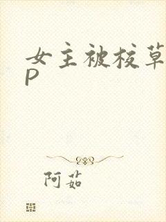 女主被校草们NP