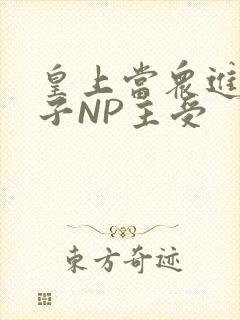 皇上当众进入太子NP主受