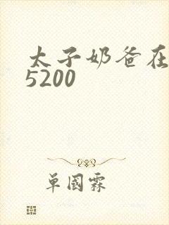 太子奶爸在花都5200