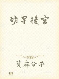 明星后宫