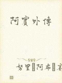 阿宾外传