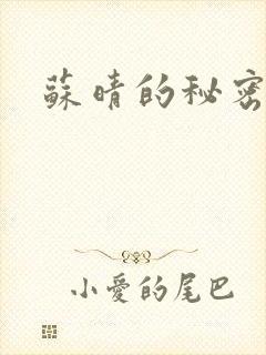 苏晴的秘密小说