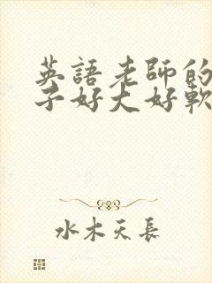 英语老师的小兔子好大好软水