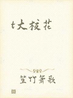 t大校花