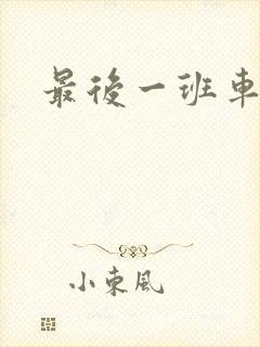 最后一班车小说
