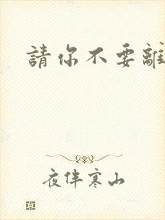 请你不要离开我