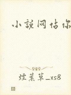 小说网站你懂的