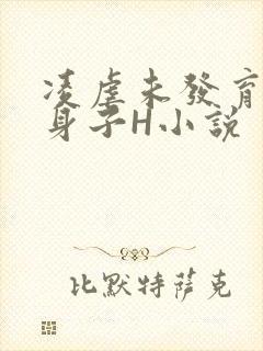 凌虐未发育的小身子H小说