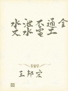 水泄不通金银原文水电工