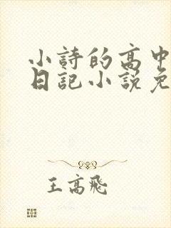 小诗的高中成长日记小说免费阅读