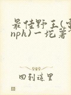 最佳野王(电竞nph)一坨薯饼