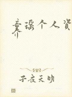 童瑶个人资料简介