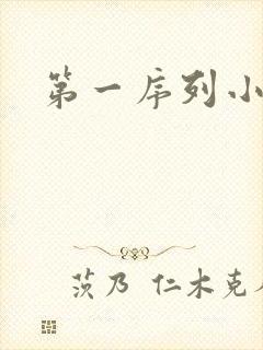 第一序列小说
