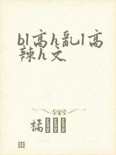 bl高h乱l高辣h文