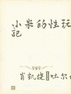 小米的性玩具日记