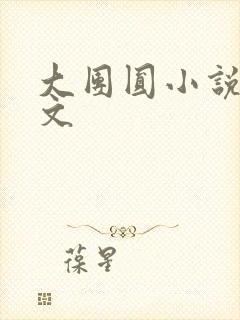 大团圆小说集全文