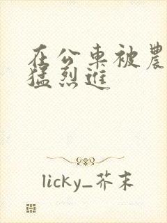 在公车被农民工猛烈进