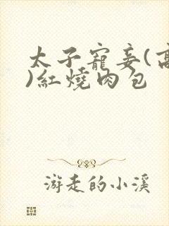 太子宠妾(高肉)红烧肉包