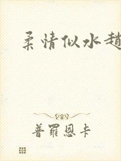 柔情似水赵雅儿