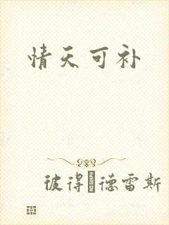 情天可补
