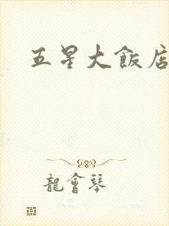 五星大饭店小说