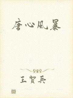 唐心风暴
