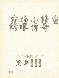 宠物小精灵之写轮眼传奇