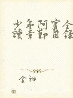 少年阿宾全文阅读章节目录