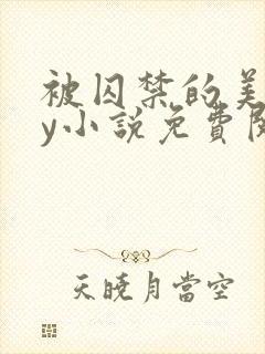 被囚禁的美人by小说免费阅读