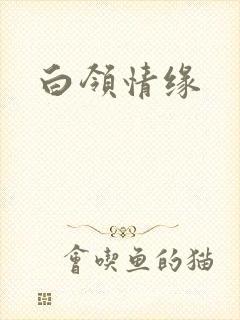 白领情缘