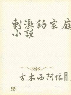 刺激的家庭乱仑小说