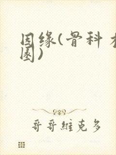 因缘(骨科 校园)