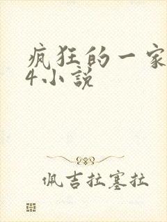 疯狂的一家ps4小说