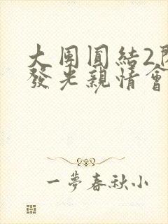 大团圆结2闪闪发光亲情会