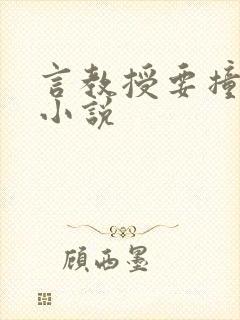 言教授要撞坏了小说