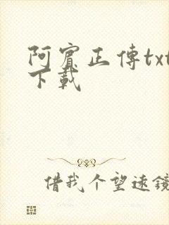 阿宾正传txt下载
